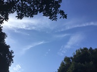 10月です！！