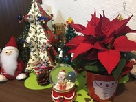 ちょいちょい...♪