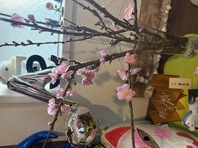 どんどん弾こう♪